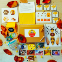 Busy Bee Creative Box