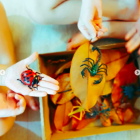 Busy Bee Creative Box