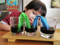 (Online session) Weekend Botany Camp- Become a Jr Botanist🌻 for 5 to 9yo