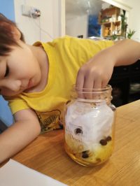 (Online session) Weekend Botany Camp- Become a Jr Botanist🌻 for 5 to 9yo - Image 4