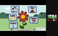 (Online session) Weekend Botany Camp- Become a Jr Botanist🌻 for 5 to 9yo - Image 7