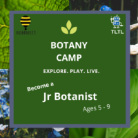 (Online session) Weekend Botany Camp- Become a Jr Botanist🌻 for 5 to 9yo - Image 2