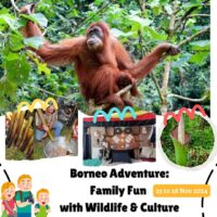 Nov 2024 Borneo Adventure:Family Fun with Wildlife and Culture