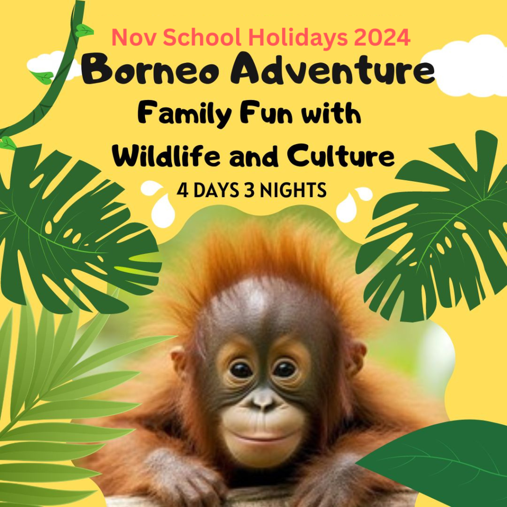 nov-2024-borneo-adventure-family-fun-with-wildlife-and-culture-hommeet